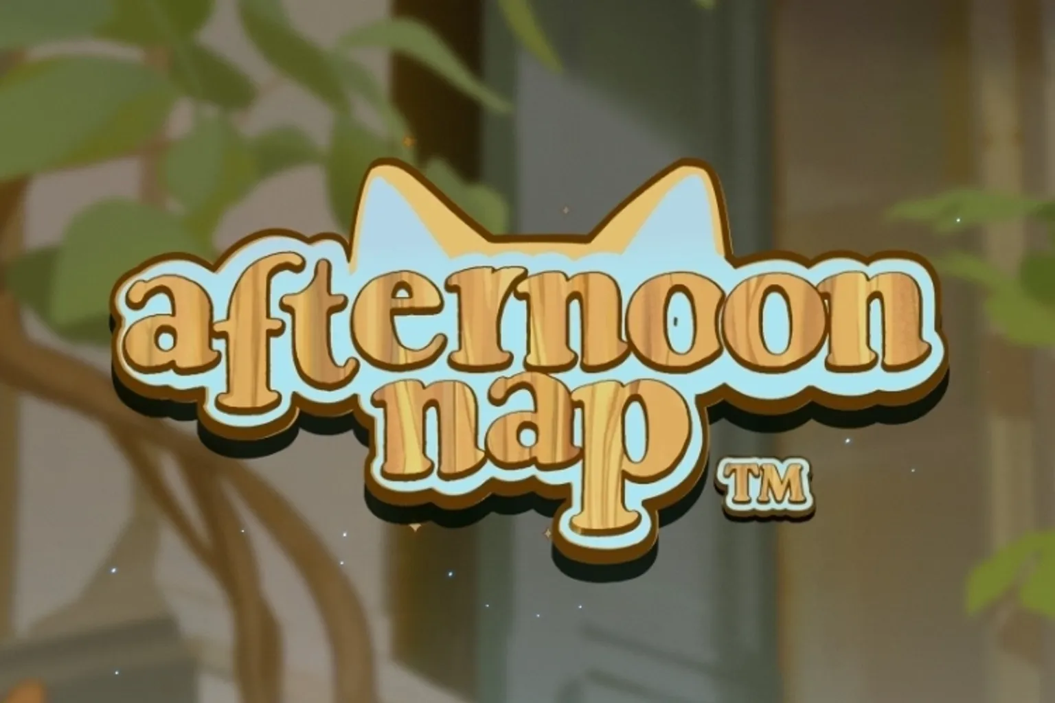 Afternoon Nap Demo: Faktoren für die Bewertung der Mechanik