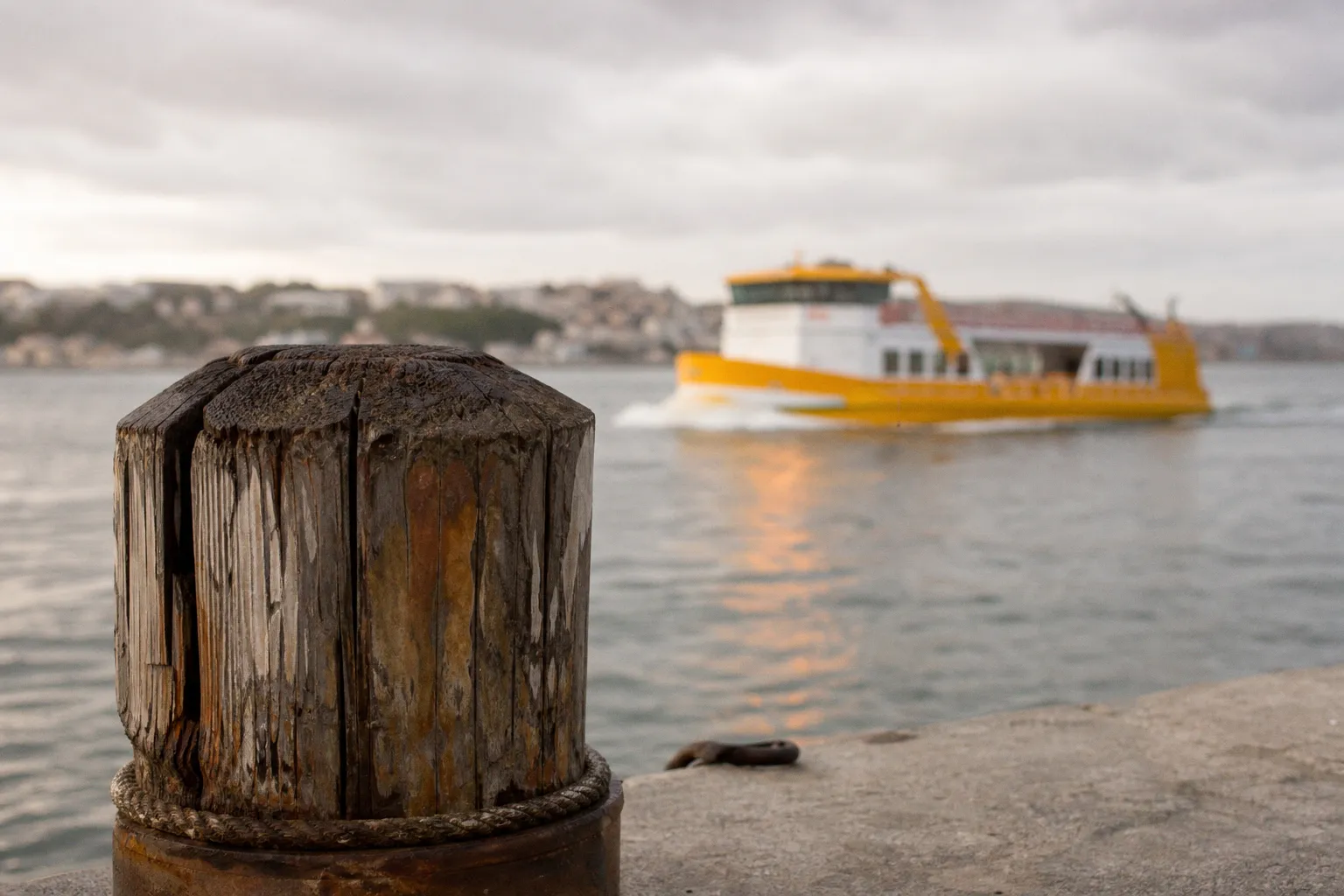 Bootstouren in Lissabon: Warum die Preise für Tejo-Fahrten steigen
