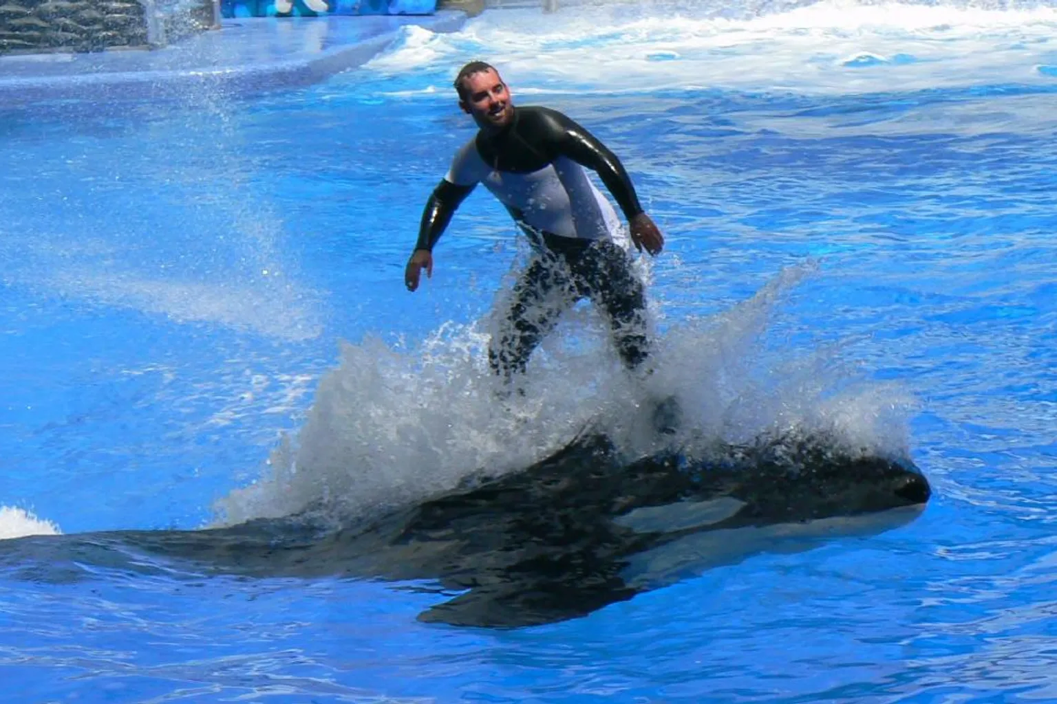 Tickets kaufen SeaWorld Orlando: Preisdaten im Check